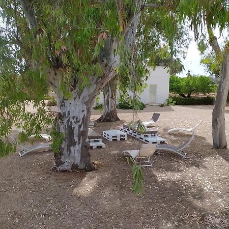Terreamare Agriturismo Porto Cesareo Dış mekan fotoğraf