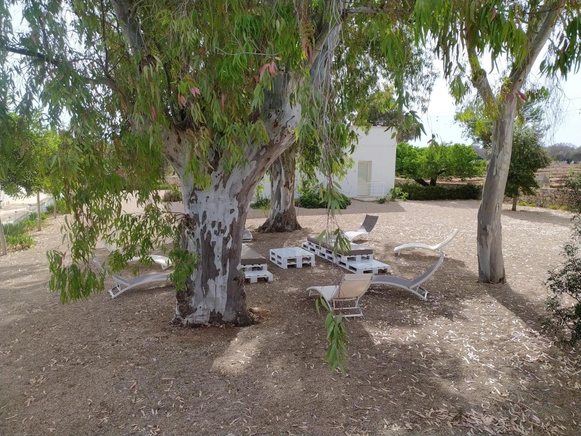 Terreamare Agriturismo Porto Cesareo Dış mekan fotoğraf