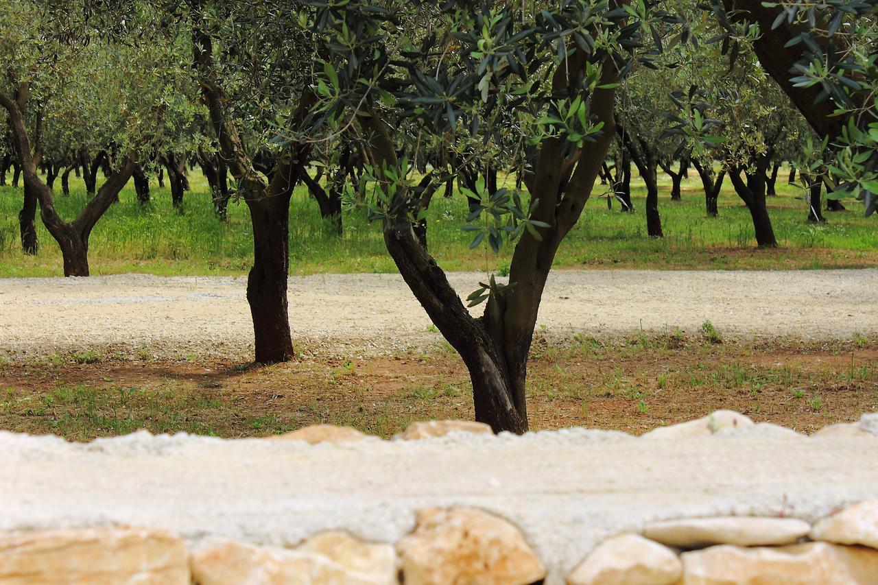 Terreamare Agriturismo Porto Cesareo Dış mekan fotoğraf
